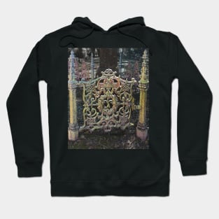 Star Gate Hoodie